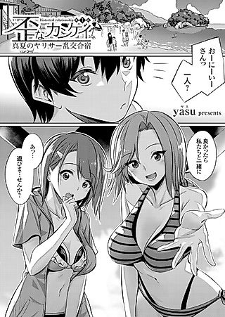 Cover image for the manga called Ibitsu na Kankei: Manatsu no Yarisaa Rankou Gasshuku