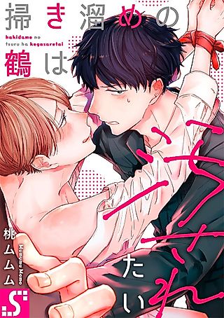 Cover image for the manga called Precious Boy Wants to Be Degraded