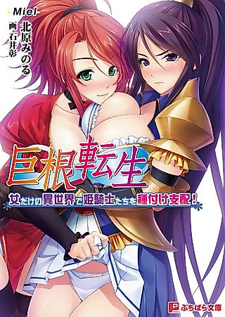 Cover image for the novel called Kyokon Tensei: Onna dake no Isekai de Himekishi-tachi wo Tanetsuke Shihai! Subete no Min ga Niku Onaho desu. Harami Ana ni Seishi-sama Omegumi Kudasai♪