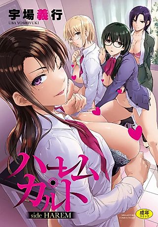 Cover image for the manga called Harem Cult: Side Harem
