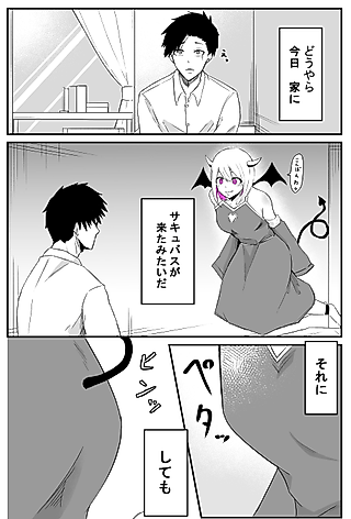 Cover image for the manga called The Story of a Succubus Who Is Not Erotic at All