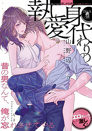Cover image for the novel called Migawari no Shitsuai