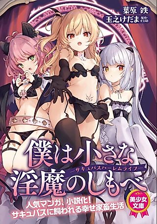 Cover image for the novel called Boku wa Chiisana Succubus no Shimobe