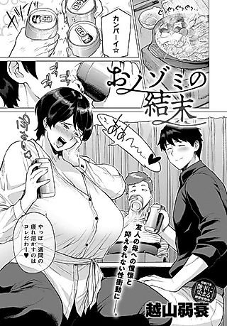 Cover image for the manga called A Wish's Conclusion
