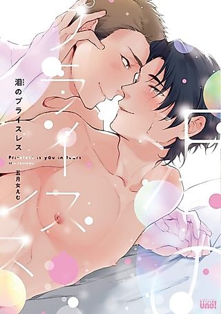 Cover image for the manga called Priceless Is You In Tears