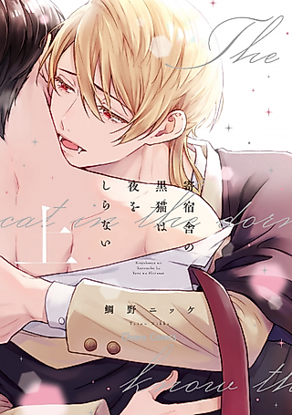 Cover image for the manga called The Black Cat & the Vampire