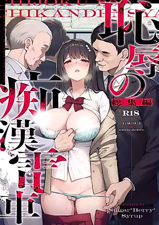 Cover image for the manga called The Shame Train