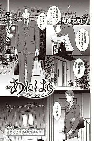 Cover image for the manga called Zoku Anehara