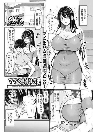 Cover image for the manga called Mama to Tanetsuke no Su