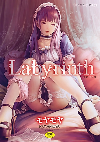 Cover image for the manga called Labyrinth