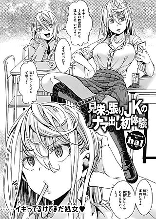 Cover image for the manga called [Shojo Soushitsu!?] Mieppari JK no Namadashi Shotaiken