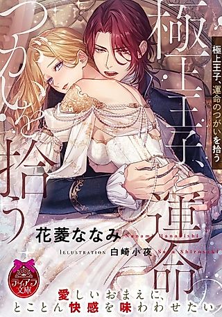 Cover image for the novel called Gokujou Ouji, Unmei no Tsugai wo Hirou