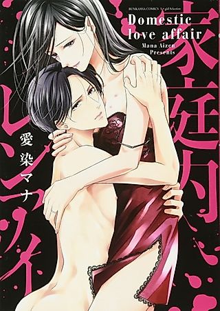 Cover image for the manga called Domestic Love Affair