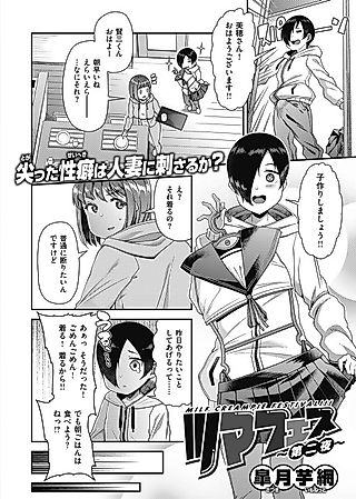 Cover image for the manga called Wife Fes ~Second Night~