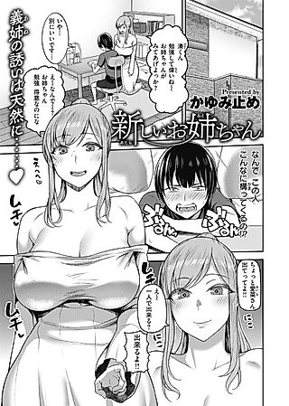 Cover image for the manga called New Big Sister