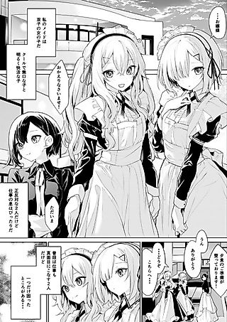 Cover image for the manga called Mistress and Twin Maids