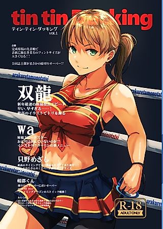 Cover image for the other called Fit Boxing dj - tin tin Ducking