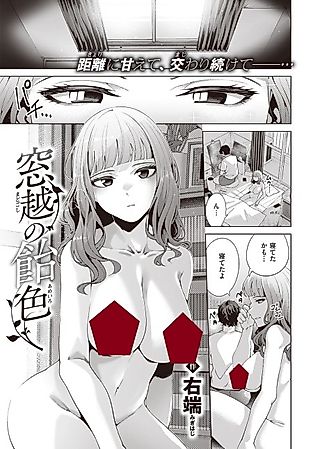 Cover image for the manga called Amber Through the Window