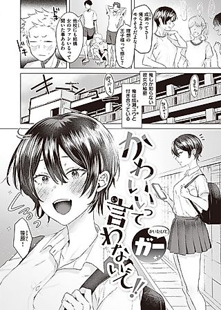 Cover image for the manga called Don't Call Me Cute!!
