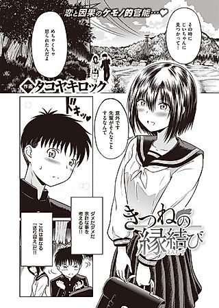 Cover image for the manga called Fox's Love Knot
