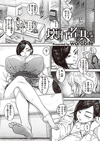 Cover image for the manga called The Broken