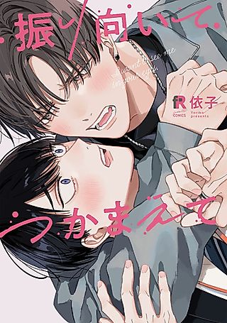 Cover image for the manga called I Want to See Me in Your Eyes