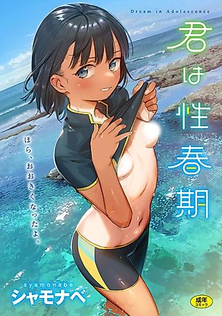 Cover image for the manga called Dream in Adolescence