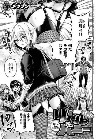 Cover image for the manga called Little Bad Bunny