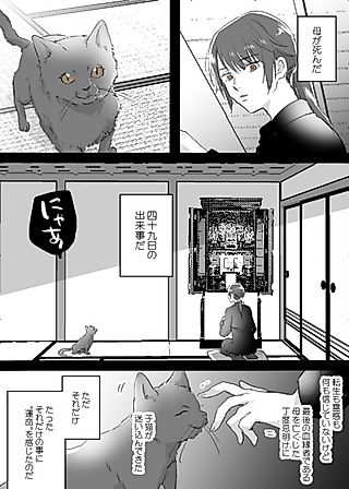 Cover image for the manga called Cat, Child, and Mother