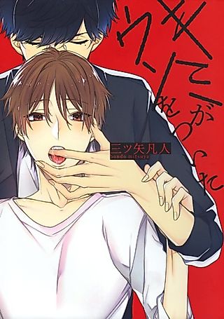 Cover image for the manga called You Lied to Me