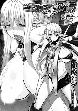 Cover image for the novel called Reijuu no Elf Mage Aira