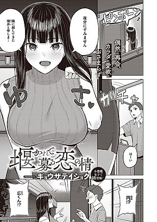 Cover image for the manga called Sekarete Tsunoru Koi no Jou