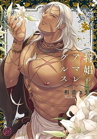 Cover image for the manga called Amaregulus: Soldier & Soother