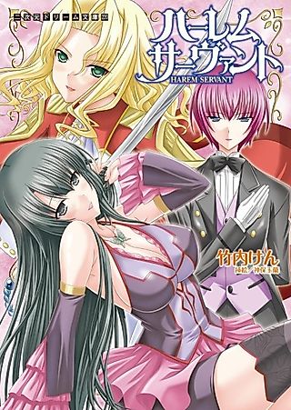 Cover image for the novel called Harem Servant