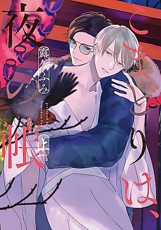 Cover image for the manga called Robin in the Veil of Night