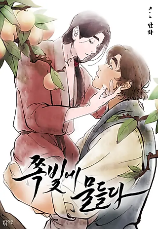 Cover image for the manhwa called Into the Blue