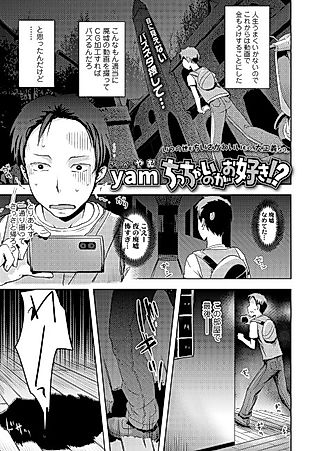 Cover image for the manga called Chicchai no ga Osuki!?
