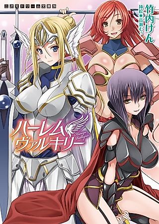 Cover image for the novel called Harem Valkyrie