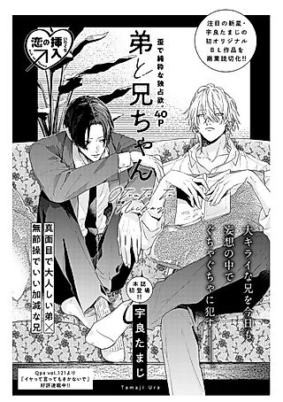 Cover image for the manga called Brother and Brother
