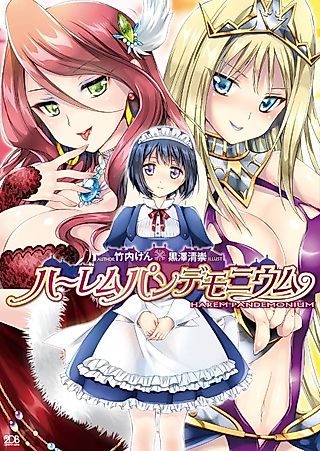 Cover image for the novel called Harem Pandemonium