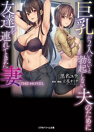 Cover image for the novel called I Can’t Get it Up Without Two Pairs of Big Breasts, So My Wife Brought Her Friend! THE NOVEL