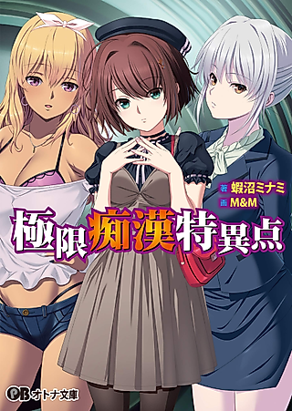 Cover image for the novel called Kyokugen Chikan Tokuiten
