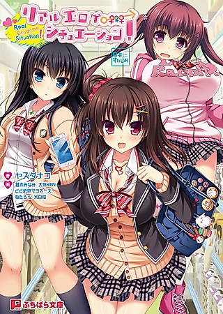Cover image for the novel called Real Eroge Situation!