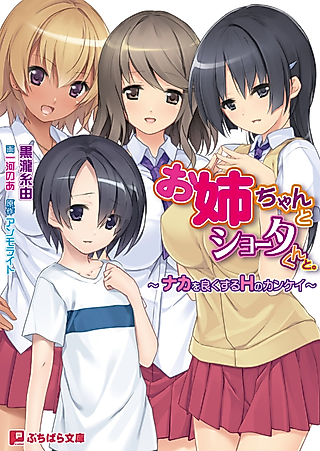 Cover image for the novel called Onee-chan to Shota-kun to.: Naka wo Yoku Suru H no Kankei