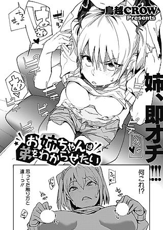 Cover image for the manga called Big Sis Wants to Convince Her Lil' Brother