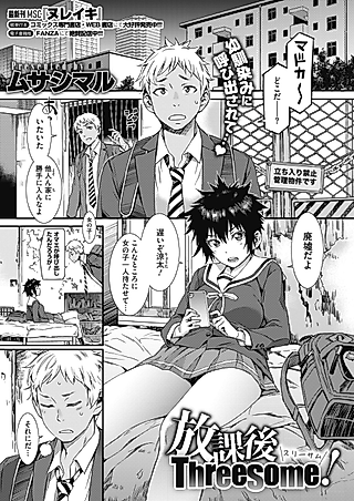 Cover image for the manga called After School Threesome!