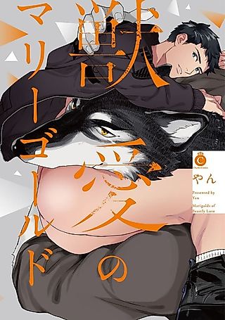 Cover image for the manga called Juuai no Marigold