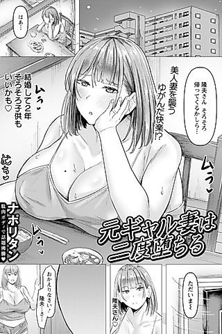 Cover image for the manga called Moto Gal Tsuma wa Nido Ochiru