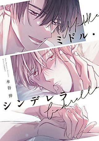 Cover image for the manga called Middle-Aged Cinderella
