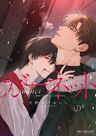 Cover image for the manga called Garnet in the Rough